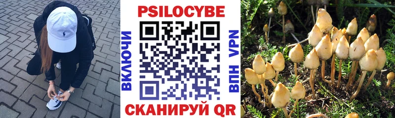 купить наркотик  МЕГА ссылки  Галлюциногенные грибы GOLDEN TEACHER  Пучеж 